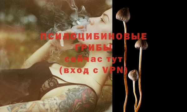 прущие грибы Кукмор