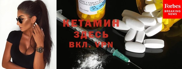 прущие грибы Кукмор