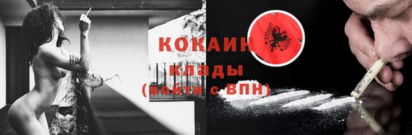 прущие грибы Кукмор