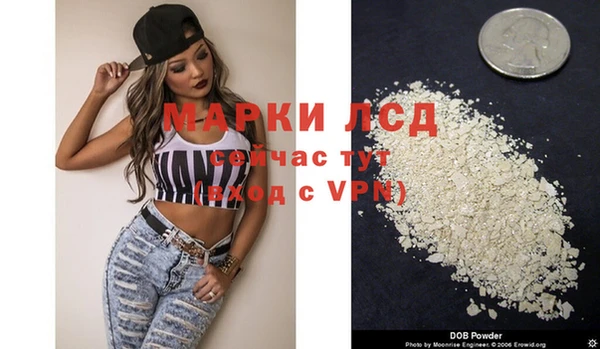 прущие грибы Кукмор