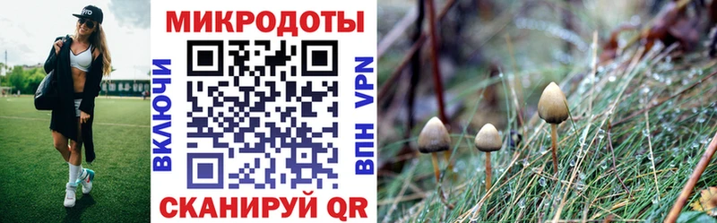 Галлюциногенные грибы GOLDEN TEACHER  Купить где  Вилючинск 